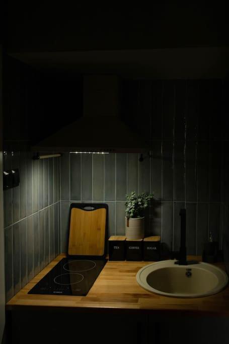 Blue Moon. Cozy Apartment Near Iulius Mall クルージュ＝ナポカ エクステリア 写真